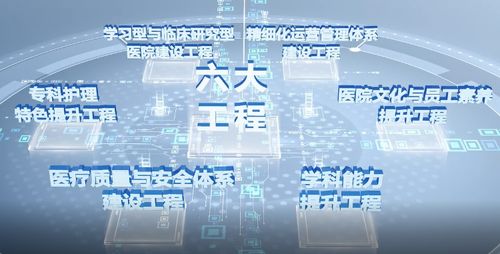 双城联动 青岛海慈医疗集团学科建设年与杭州软件开发的协同发展之路